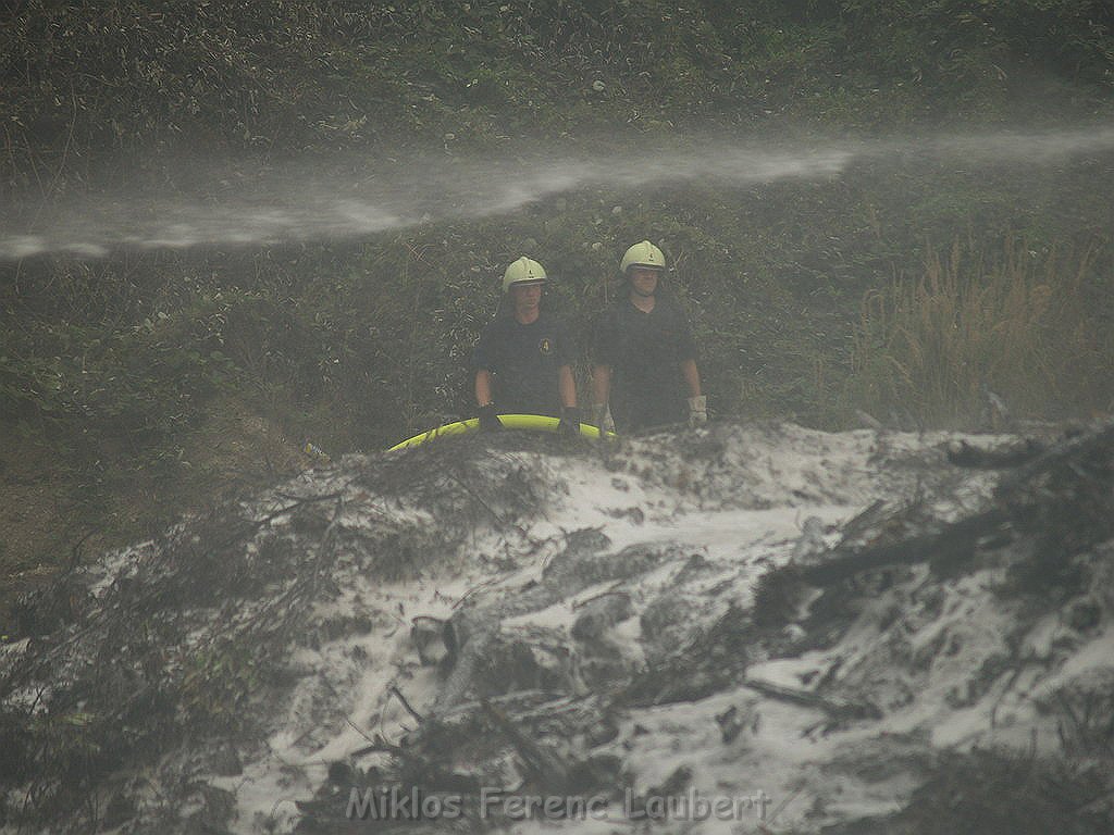 Brand Nordfriedhof Koeln Weidenpesch P206.JPG